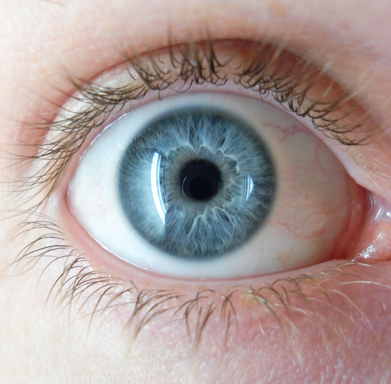The Eyes Have It | The New Existentialists