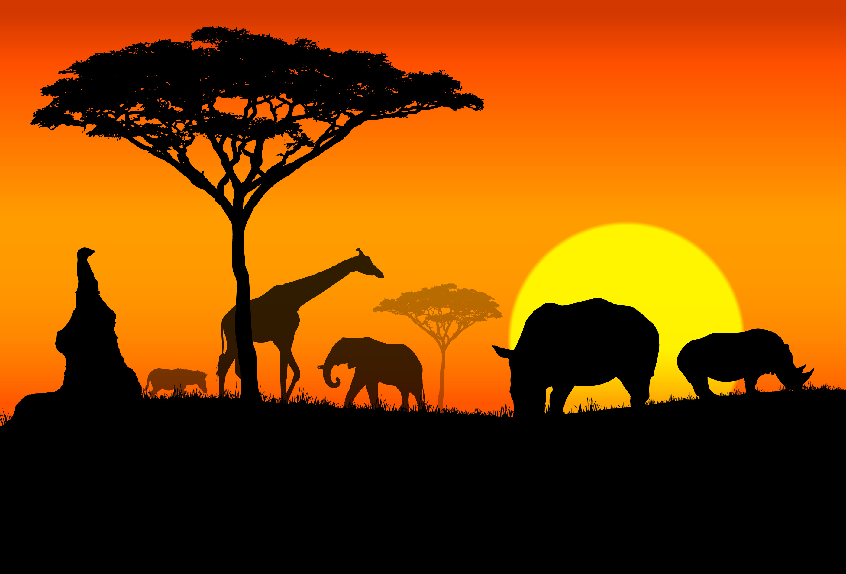 africa-2.jpg