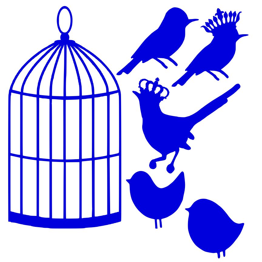 Make Your Bird Cage