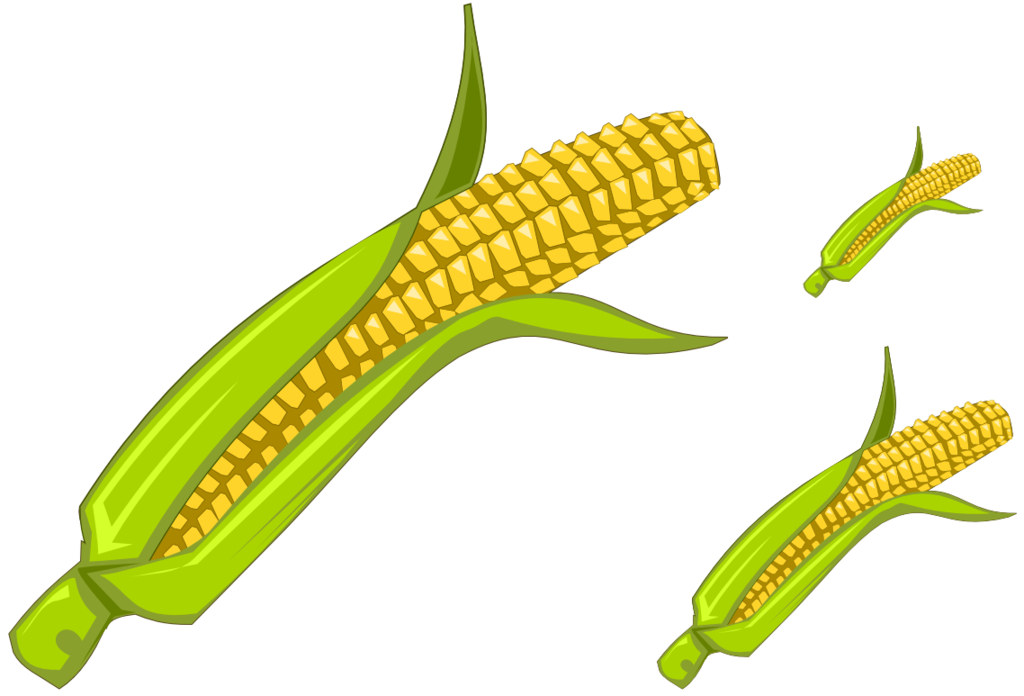 deviantART: More Like Corn - Clipart by Vyoma