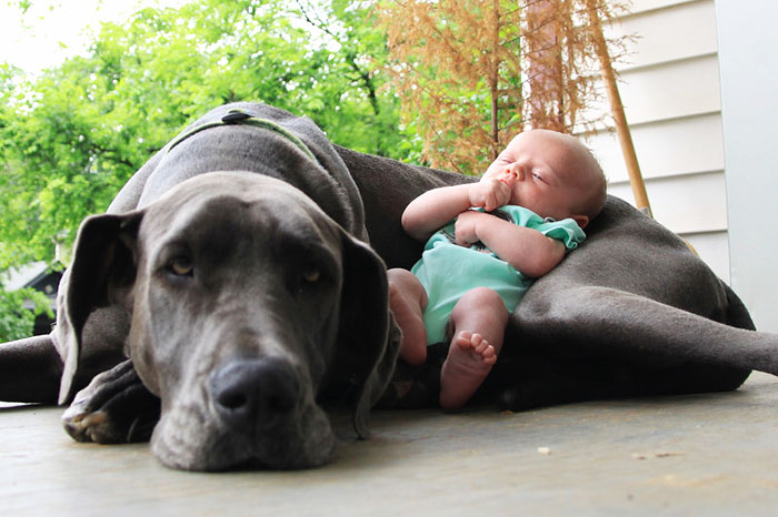 22 Little Kids And Their Big Dogs | Bored Panda