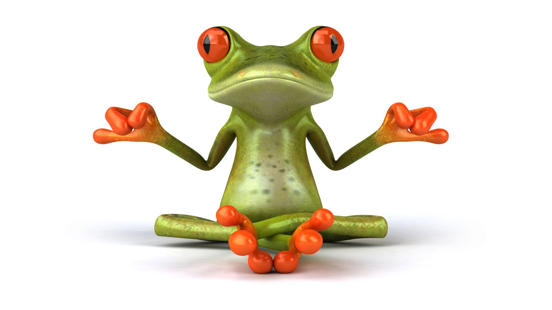 Frog Desktop Wallpaper, Frog PhotosNew Wallpapers