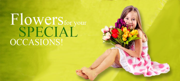 Beijing flowers ★★★★★ Beijing flower delivery. Flower and ...