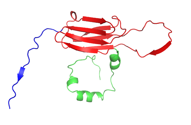 Vierling Lab - Unraveling Chaperone Function and Stress Responses