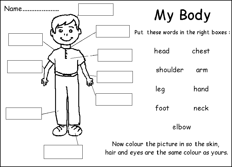 SEN Resources : worksheets "My Body" x3