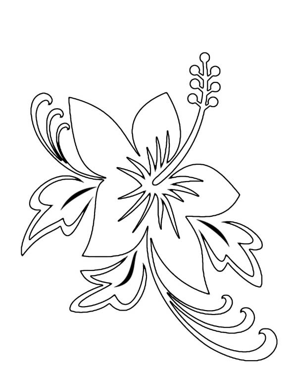 How To Draw A Hawaiian Flower | Coloring Pages