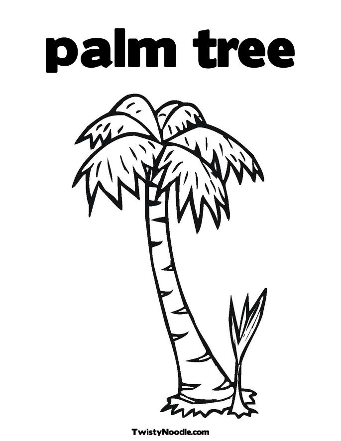 Cartoon Palm Tree Images - AZ Coloring Pages