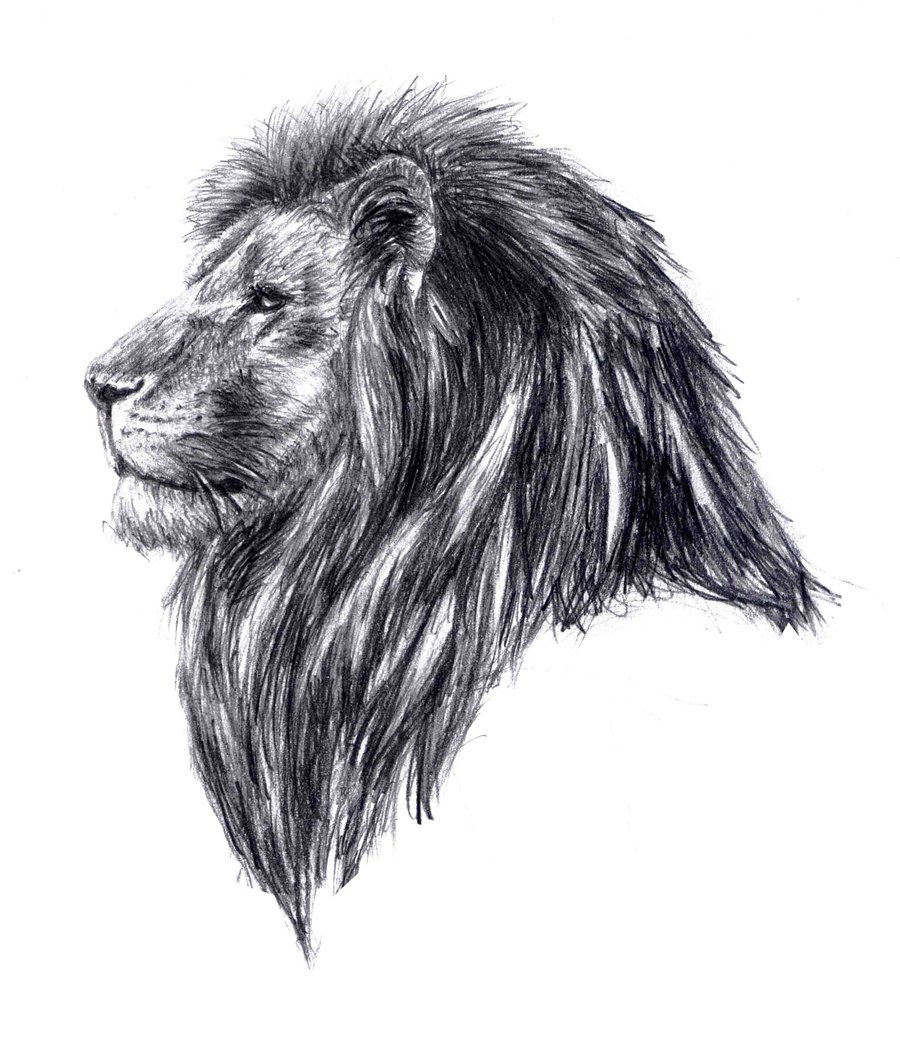 Lion Head Tattoo Flash | Tattoobite.com