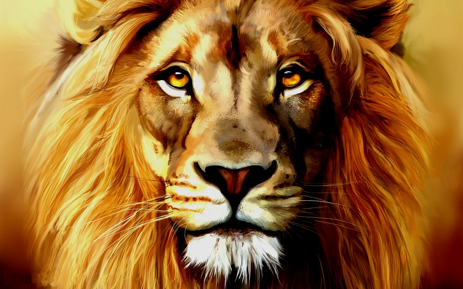 Lion Face Wallpapers - Wallpaper Cave