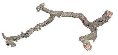 Lucky Reptile Tronchos Branches - RS Reptile Supplies