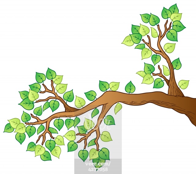 Cartoon tree branch with leaves 1 Stock Illustration - Veer.com