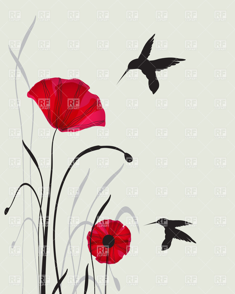 Two hummingbird silhouettes and red hand drawn poppies, 24003 ...