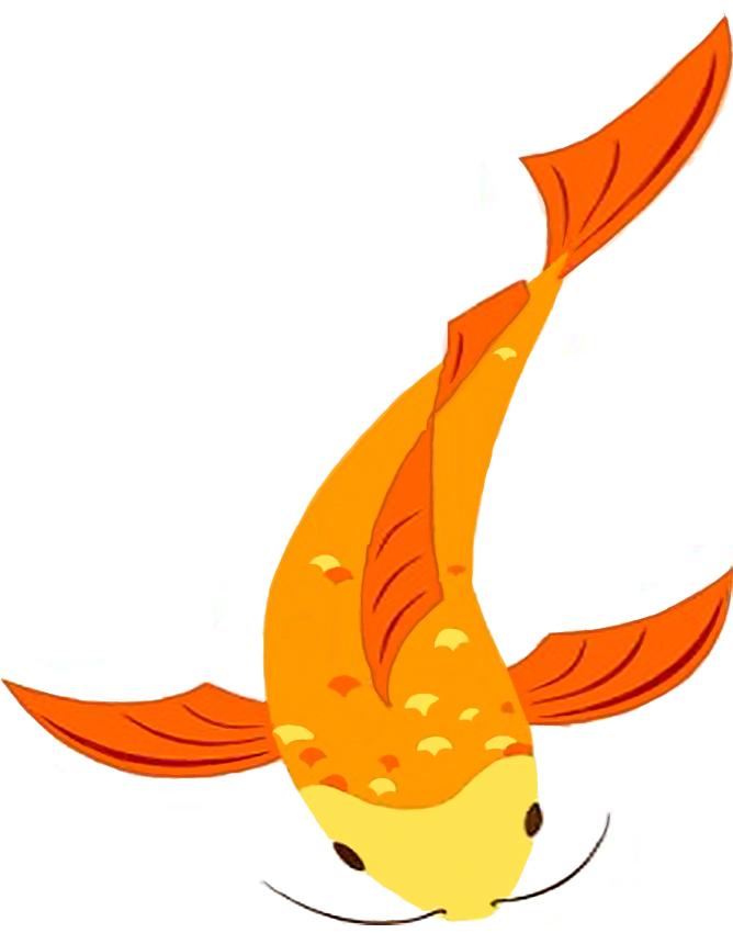 Koi Tattoo Gallery [