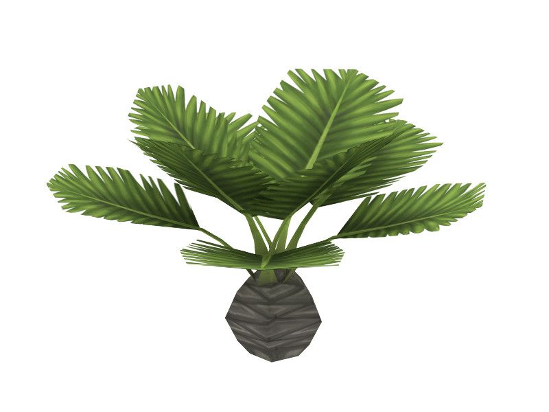 small palm tree 3d model