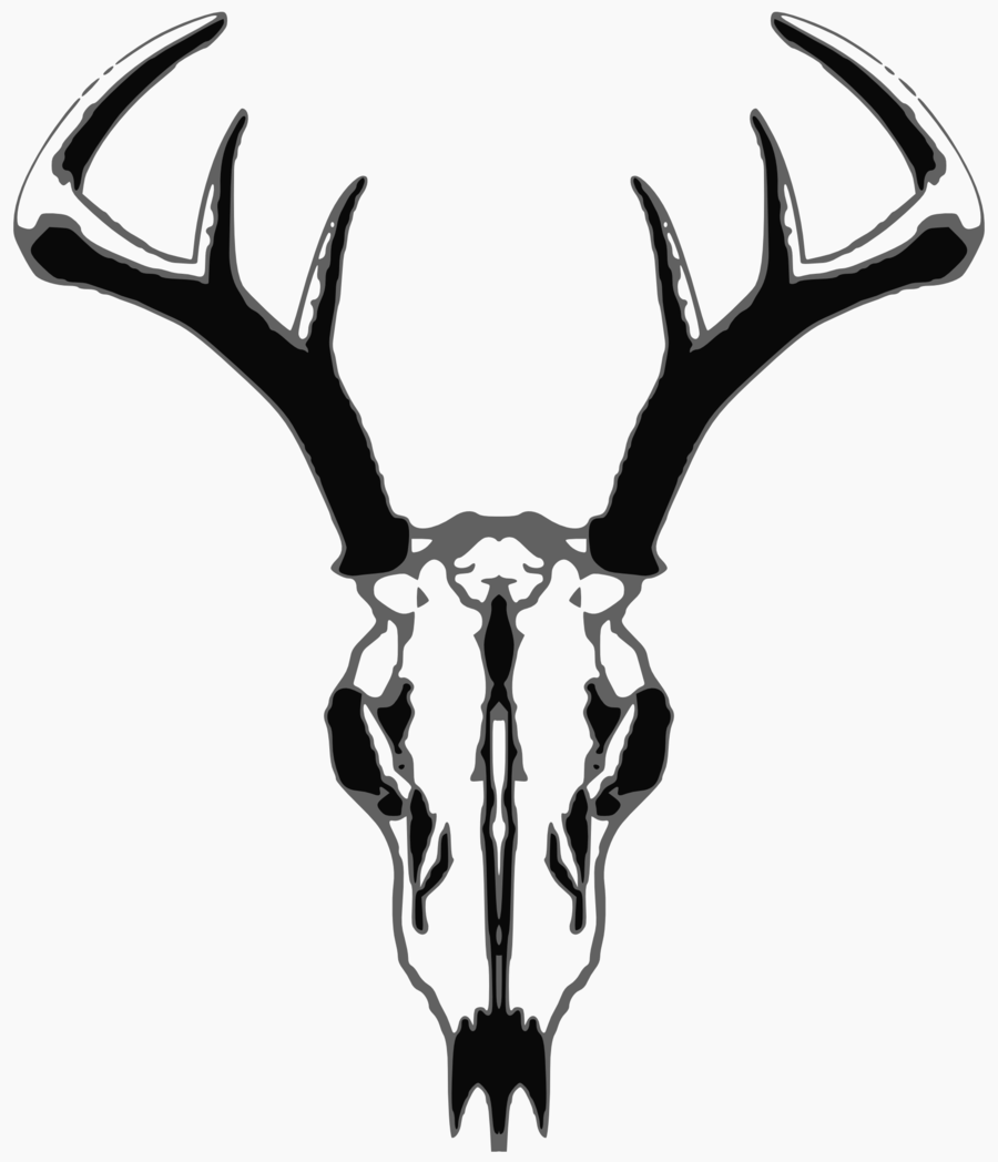 Deer skull by ShazzTheGargoil on deviantART