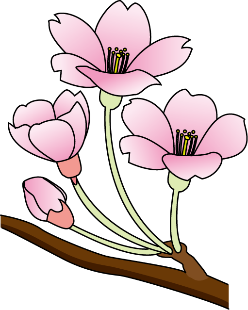 Cherry Blossom Clip Art - Cliparts.co