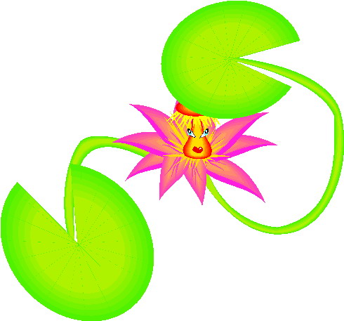 Water lily Clip Art