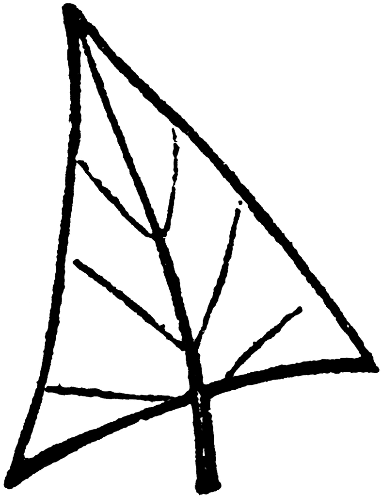 Trowel-Shaped Leaf | ClipArt ETC