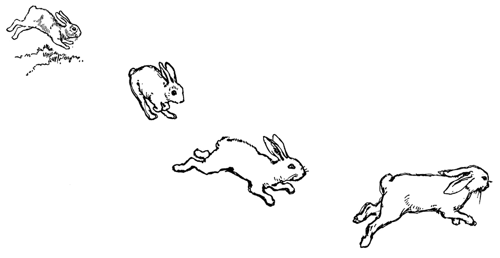 Rabbits | ClipArt ETC