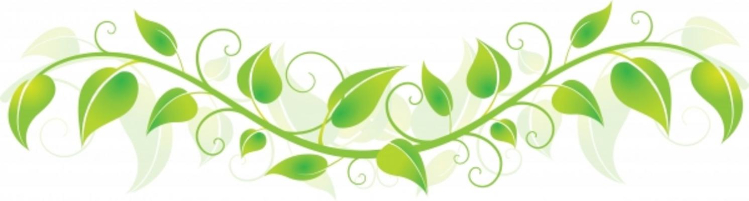 Green Vines Clip Art - Gallery