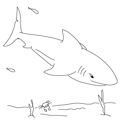 How to Draw a Shark | Fun Drawing Lessons for Kids & Adults