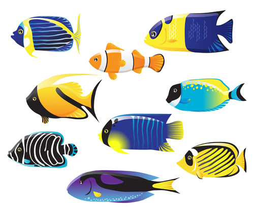 Set of Various Fish vector 02 - Vector Animal free download