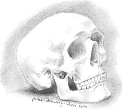 Pencil Drawing Of A Skull, Easy Steps On How To Draw A Skull