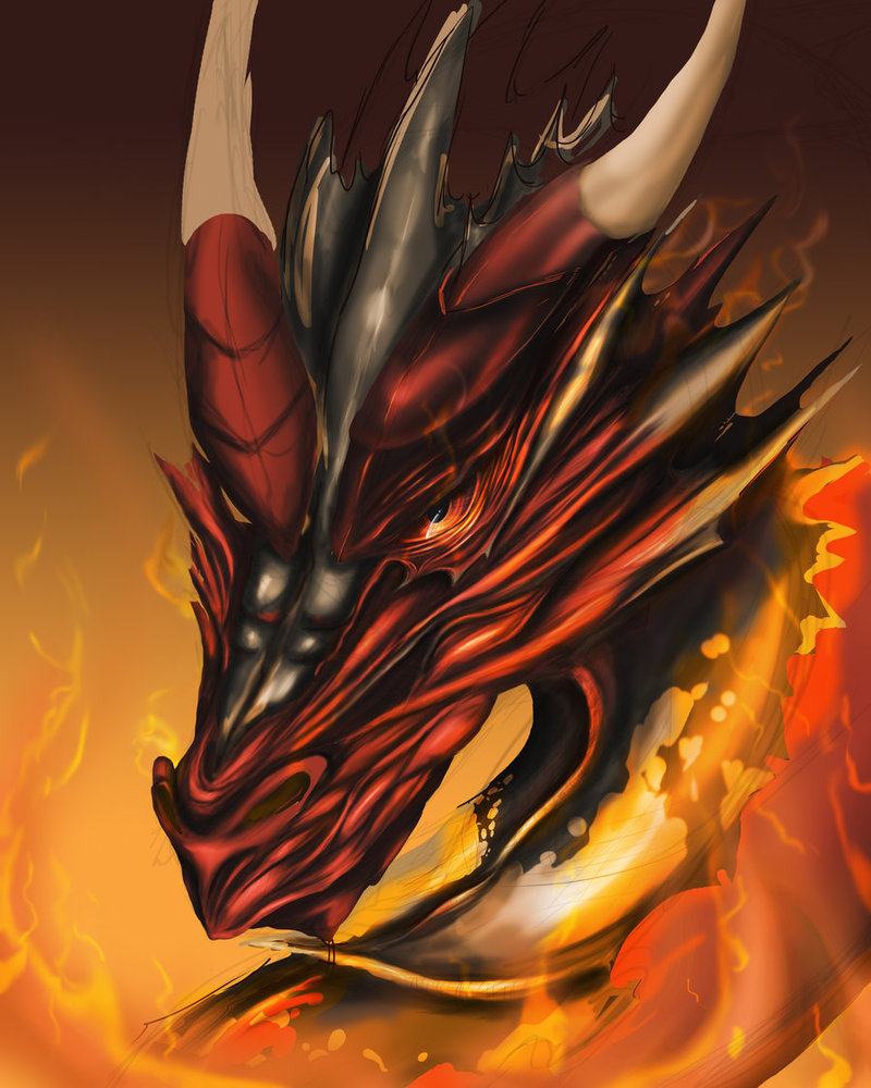 Fire Dragon Update by draconianspirit on DeviantArt