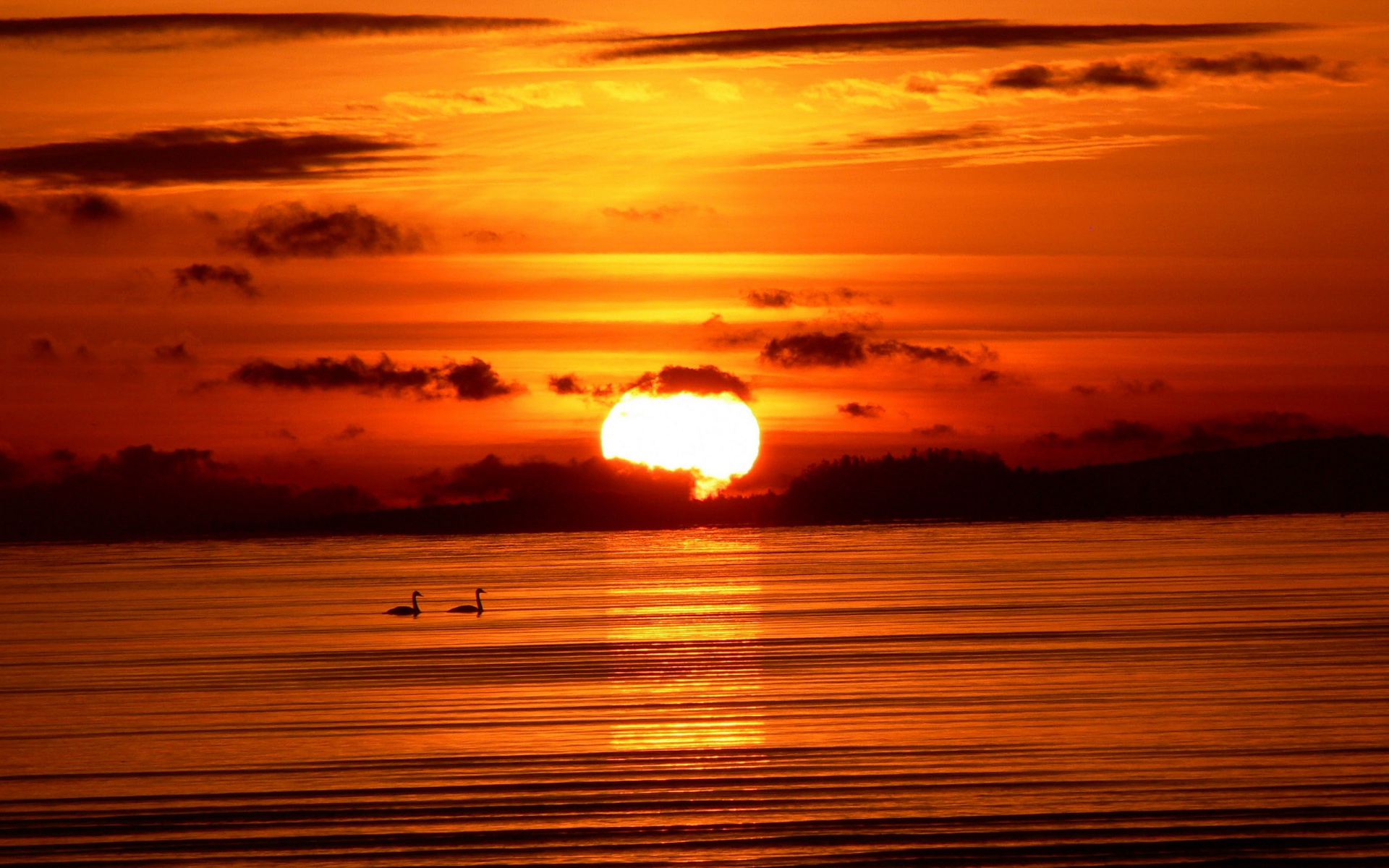 Sunset-socialphy.com_.jpg