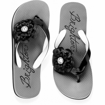 Brighton Flip Flops | Shoes & Footwear