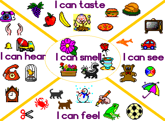Blendspace | Copy Of Five Senses