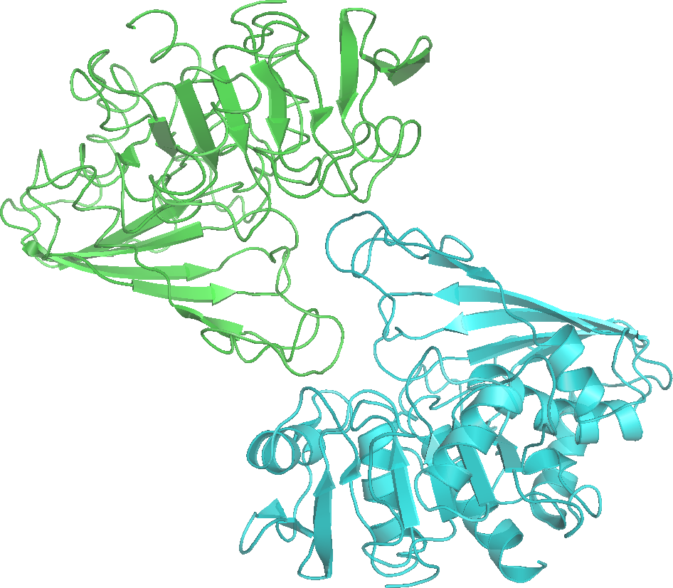 Wikipedia:WikiProject Molecular and Cellular Biology/Metabolic ...