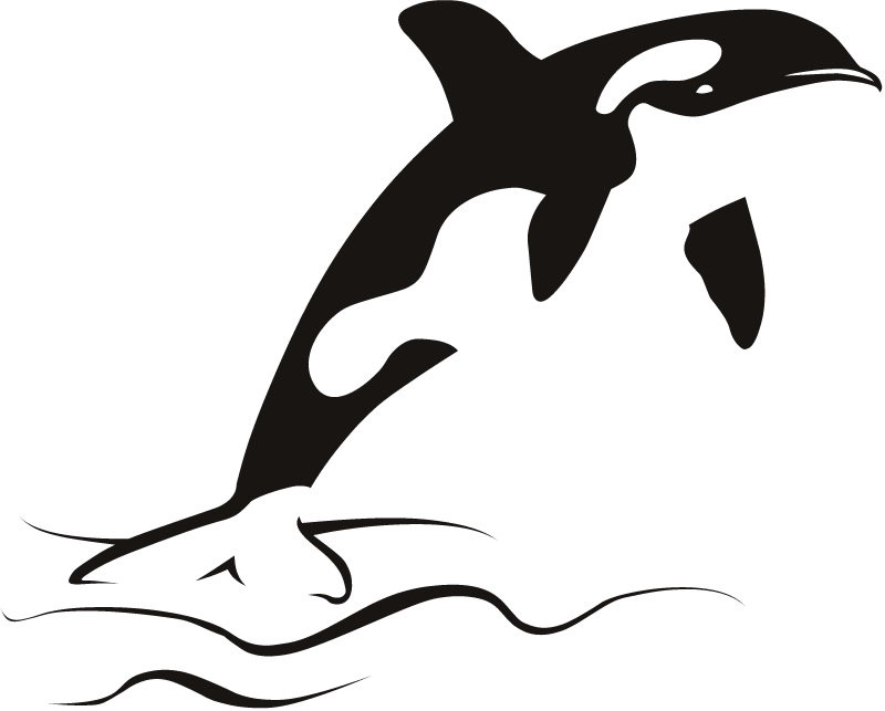Killer Whale Art Images & Pictures - Becuo