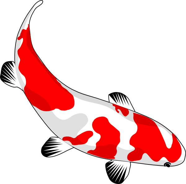 Koi Fish clip art - vector clip art online, royalty free & public ...
