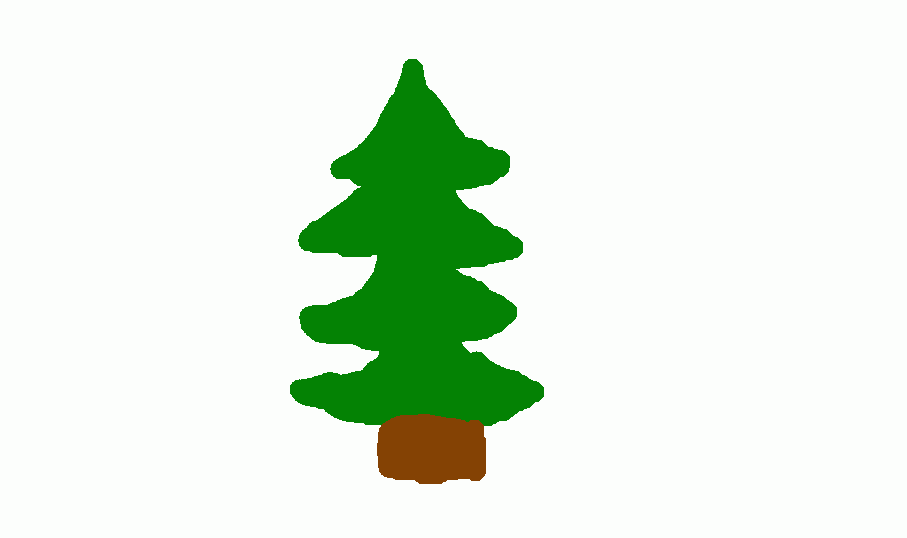 Uncategorized - 8/11 - Year Six