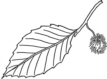 Leaf Outline - ClipArt Best
