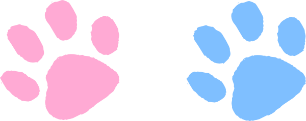 dc7gKngc9.png