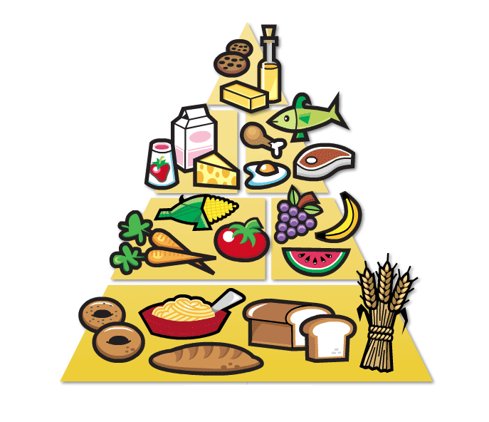 Pix For > Unhealthy Food Pyramid For Kids