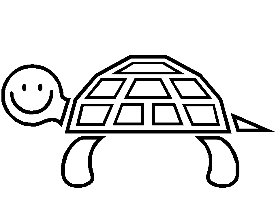 Turtle Black And White Drawing