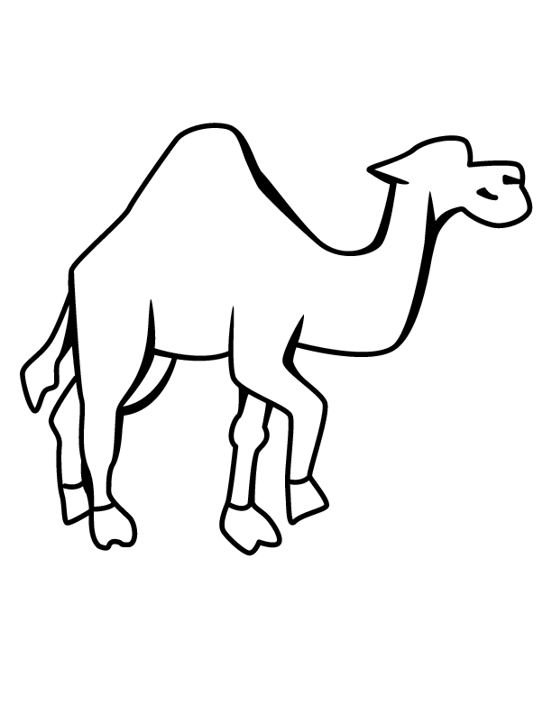 camel printable coloring in pages for kids - number 1907 online