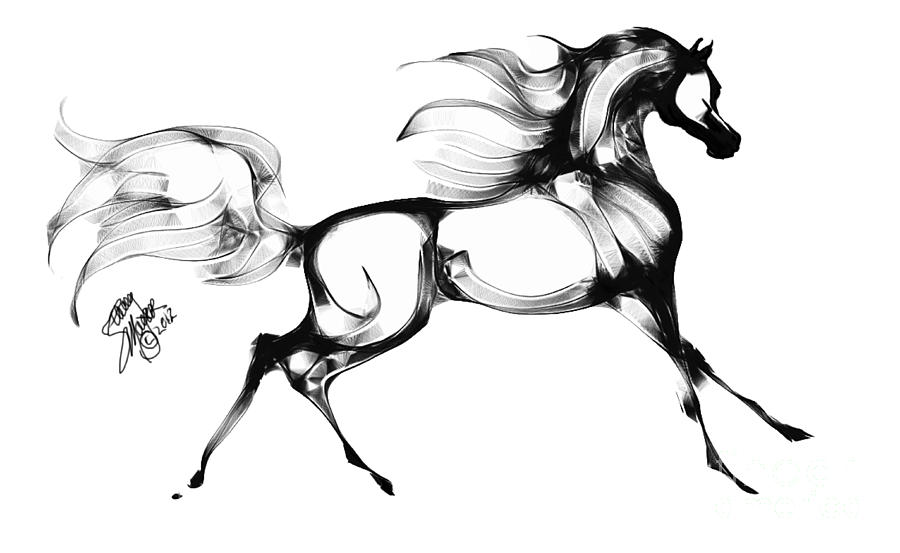 Arabian Horse Drawing 36 Angel Tarantellajpg