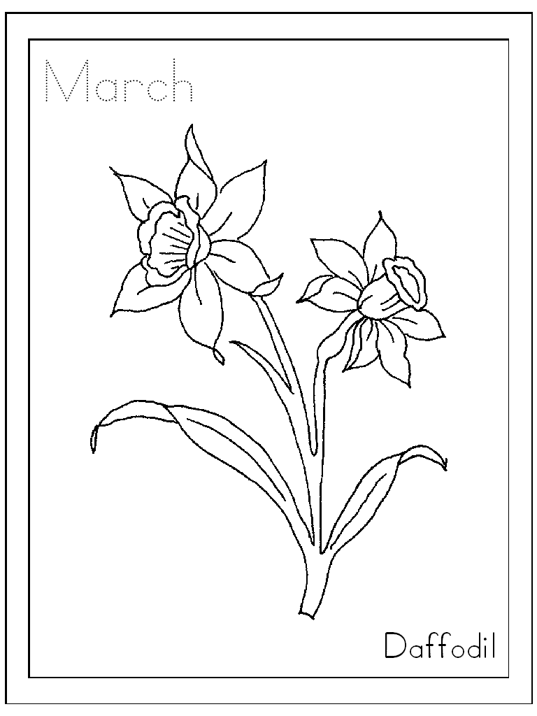 Printable daffodil drawing for kids Austin Ques