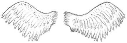 Heavenly Drawings of Angel Wings