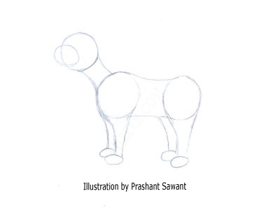 Fishing Chat: How to Draw a Cartoon Dog