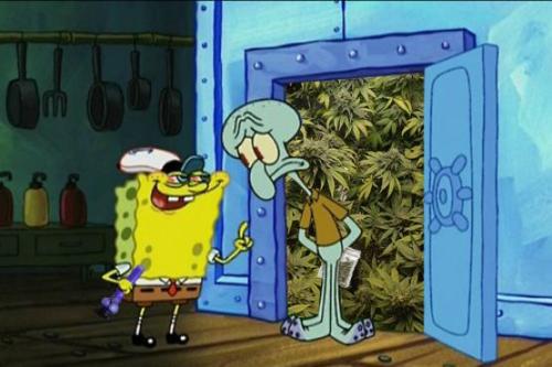 Weed Marijuana Cartoon TV High Spongebob Squidward Smoknig ...