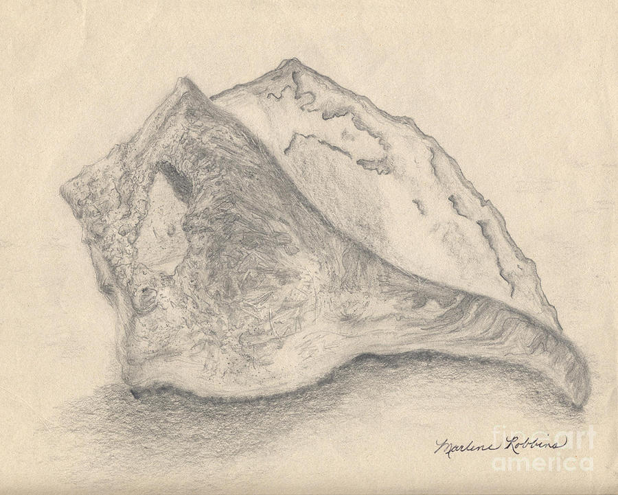 Conch Shell by Marlene Robbins