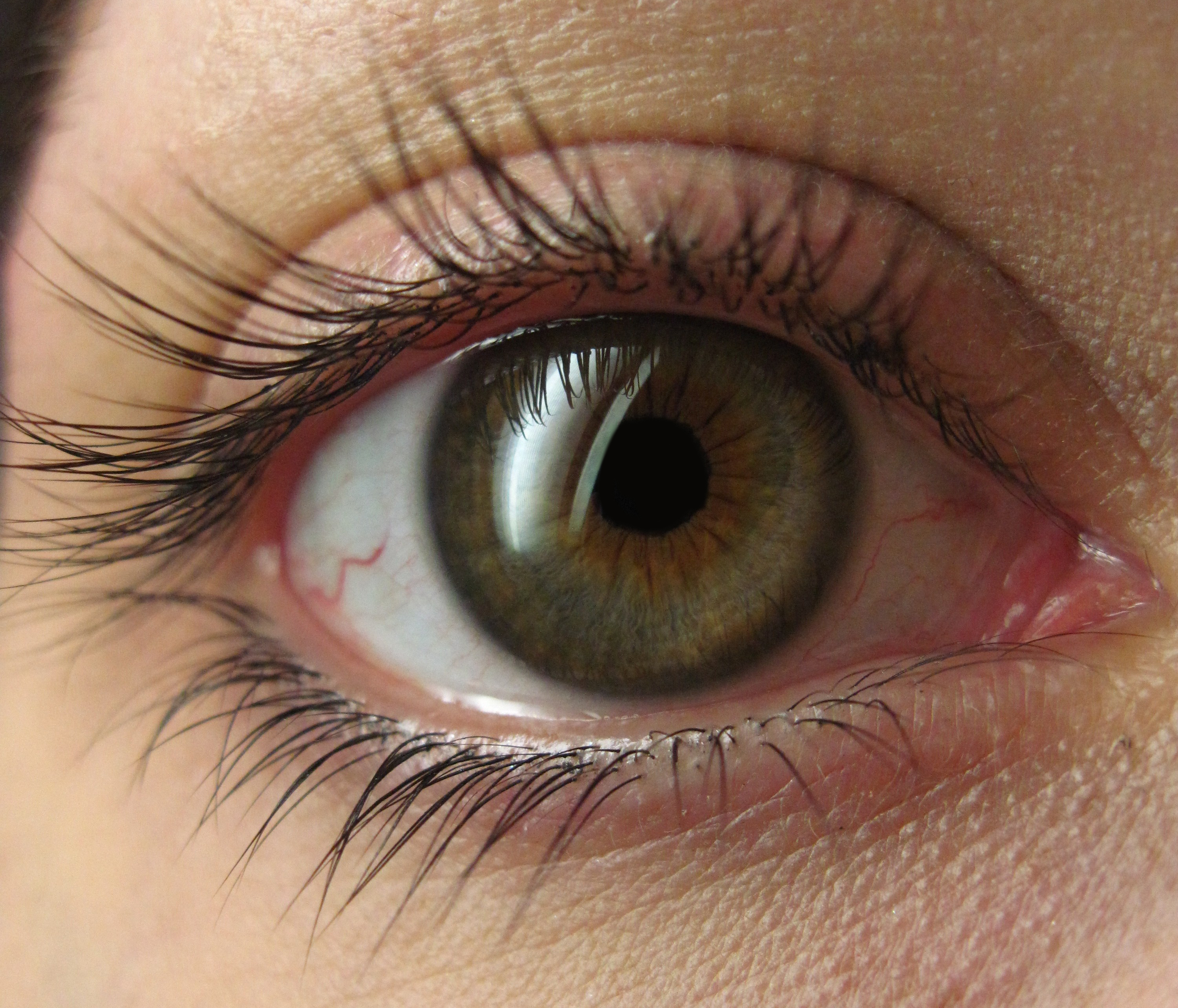 Amaranth Dreams ~ Goodies ~ Stock ~ Eyes