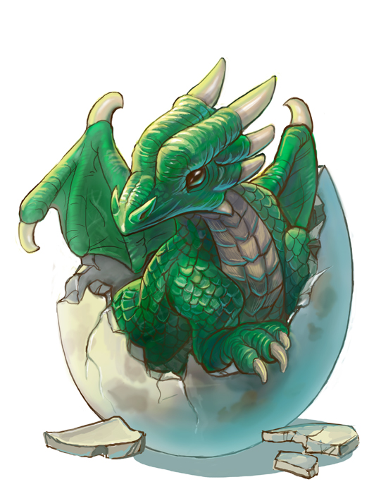 DeviantArt: More Collections Like Baby Dragon by rleeny