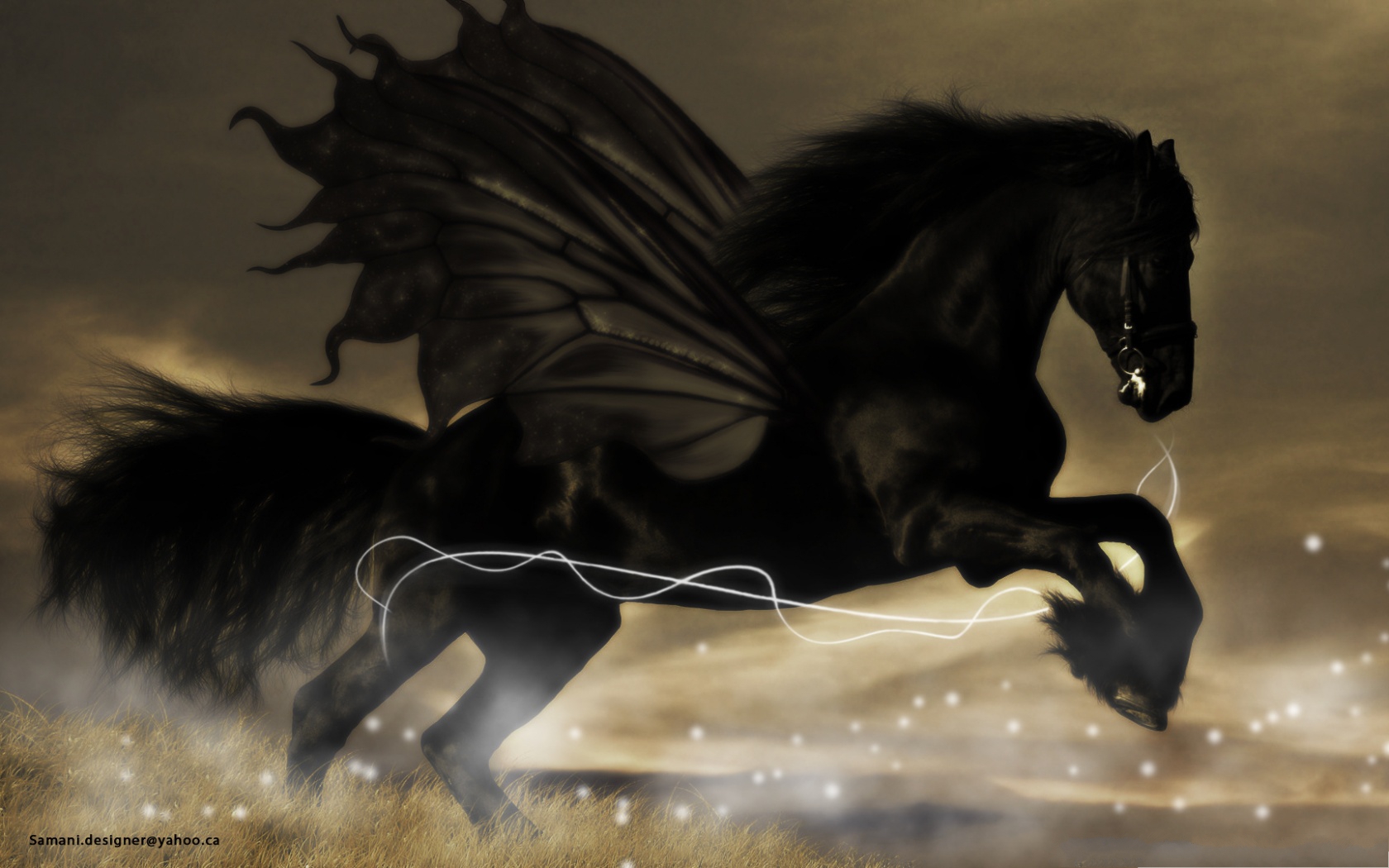 HD Wide Wallpaper, Black Horse in the Run, the Black Knight ...