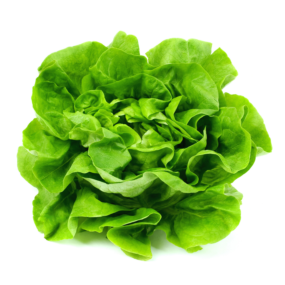 Summer Salad Greens - 16 Acres Garden Center